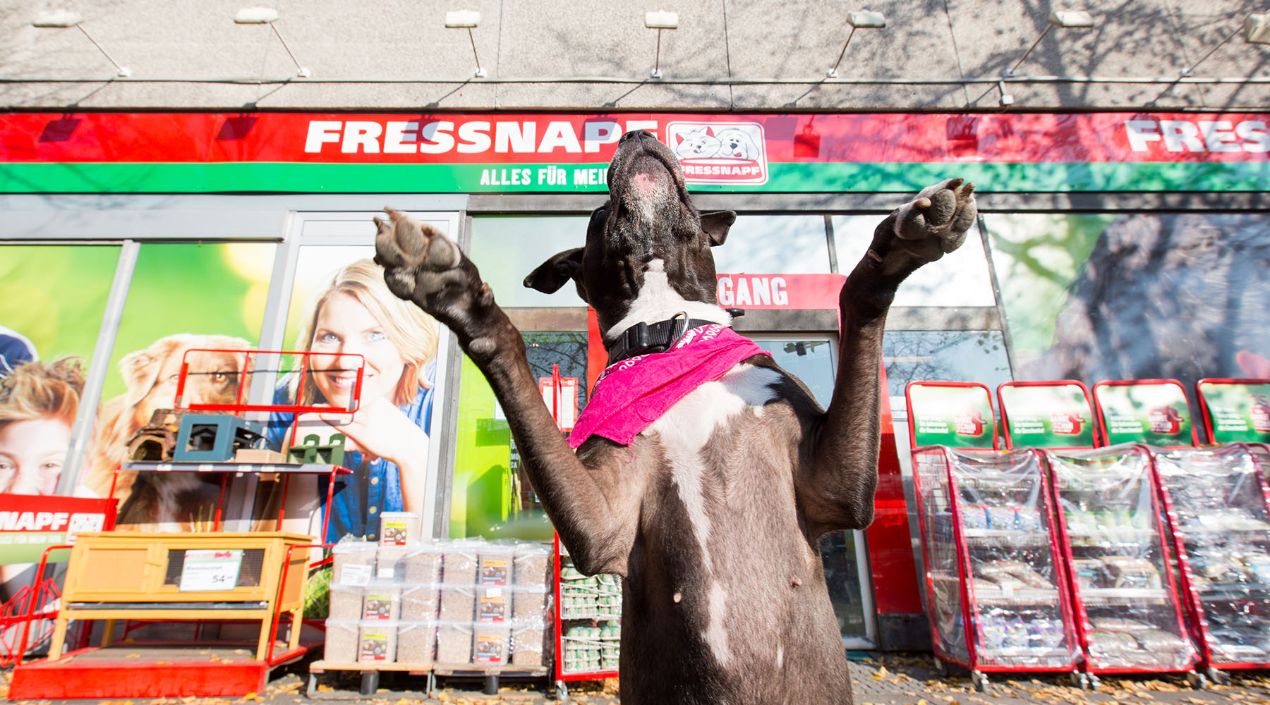 Der schlafende Riese