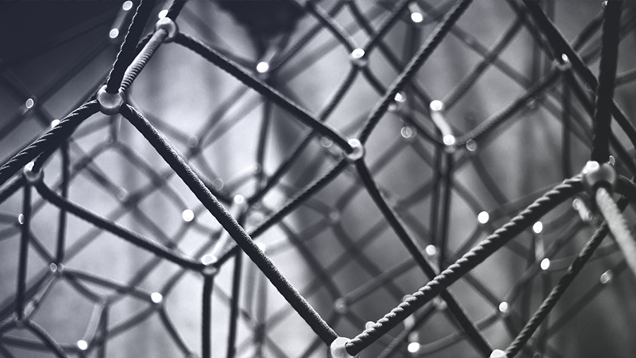 Die Intelligenz des Schwarms und das Global Brain